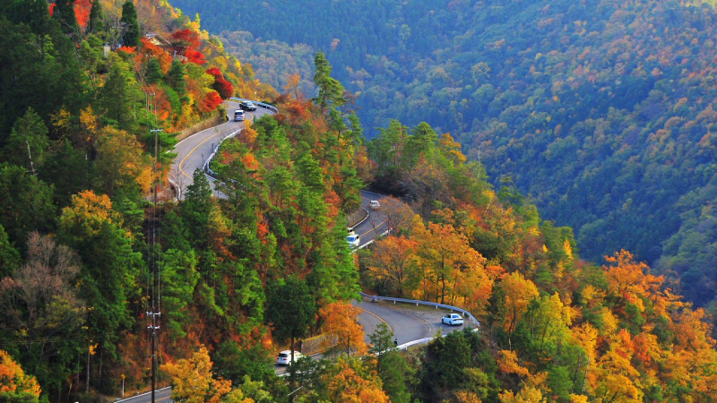 「舞台は一般道。秋の京都・嵐山でチューニングカーによるタイムアタックを開催」の2枚目の画像