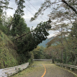 舞台は一般道。秋の京都・嵐山でチューニングカーによるタイムアタックを開催 - photo05