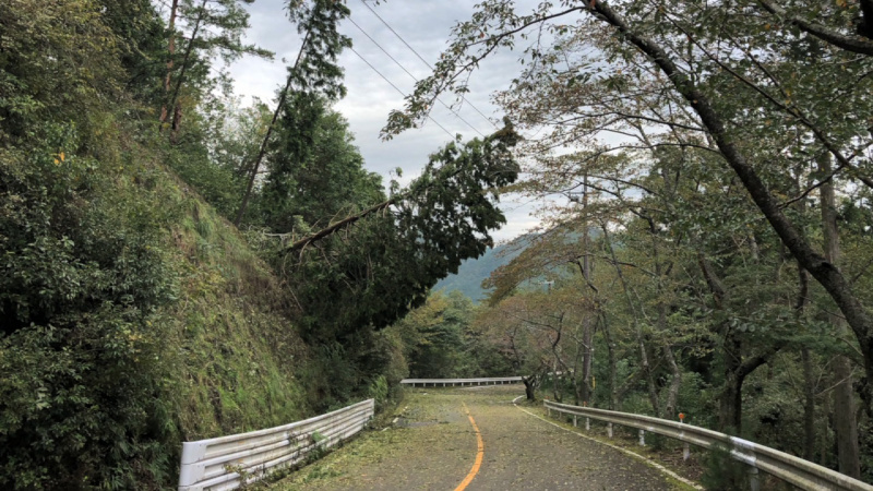 「舞台は一般道。秋の京都・嵐山でチューニングカーによるタイムアタックを開催」の5枚目の画像