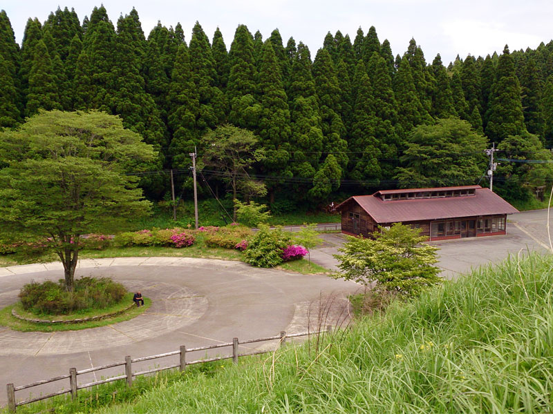 「日本最南限のスズラン自生地、見頃を迎えました（熊本）【車中泊女子の全国縦断記】」の3枚目の画像