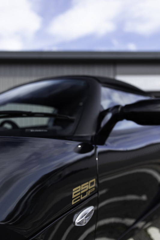 「【新車】史上最強を謳うエリーゼ。「ロータス・エリーゼ カップ 250 GP EDITION」が20台限定で登場」の13枚目の画像
