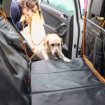 「フォルクスワーゲンが愛犬とのドライブをサポートする「フラットベッド」を発売」の2枚目の画像ギャラリーへのリンク
