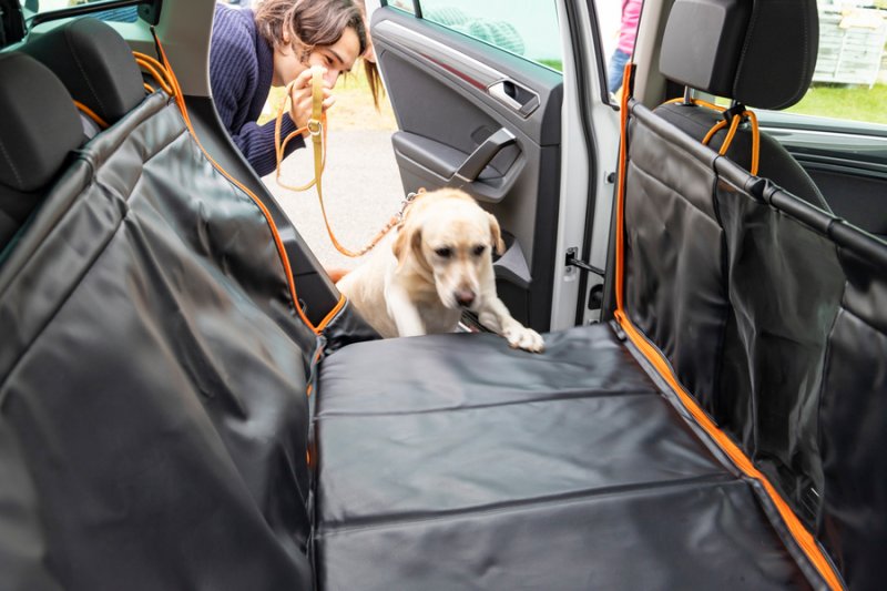 「フォルクスワーゲンが愛犬とのドライブをサポートする「フラットベッド」を発売」の2枚目の画像