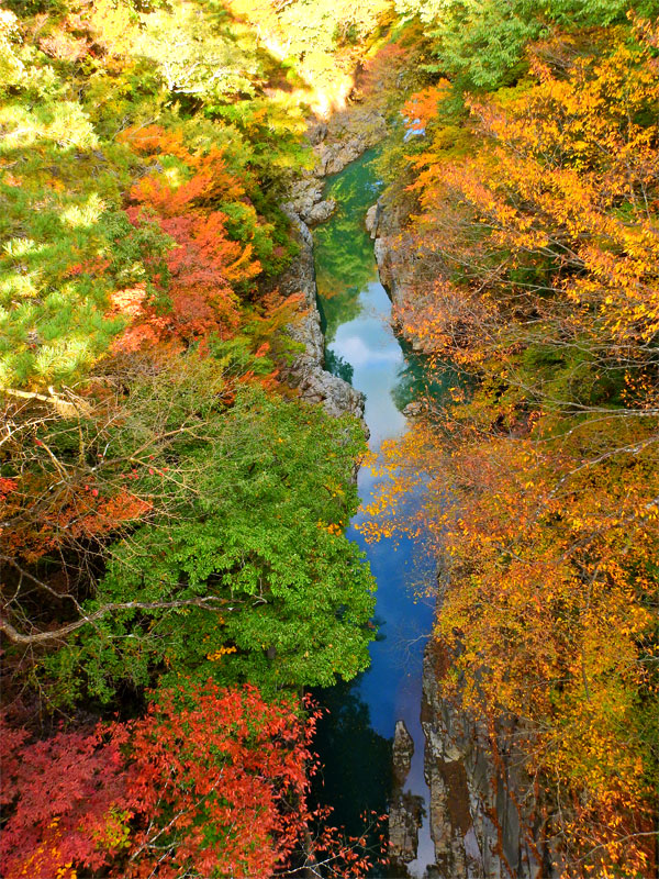 画像 紅葉の見頃を迎えた 関東の耶馬渓 吾妻峡を歩く 群馬 車中泊女子の全国縦断記 Clicccar Com