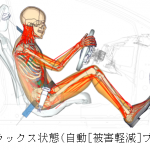 トヨタのバーチャル人体モデル「サムス」がバージョンアップ。自動運転時代の開発にも役立つ - 20190208_01_02_jp