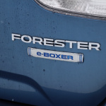 「フォレスターの視界の良さと「e-BOXER」のモーター制御が「安心感」をもたらす【SUBARU雪上試乗会】」の9枚目の画像ギャラリーへのリンク