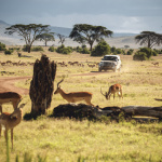 「新型ランドローバー・ディフェンダーがケニアのボラナ野生保護区での任務に従事」の8枚目の画像ギャラリーへのリンク