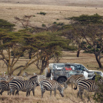 「新型ランドローバー・ディフェンダーがケニアのボラナ野生保護区での任務に従事」の13枚目の画像ギャラリーへのリンク