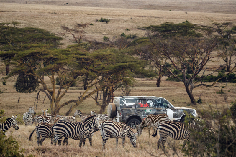 「新型ランドローバー・ディフェンダーがケニアのボラナ野生保護区での任務に従事」の13枚目の画像
