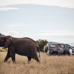 「新型ランドローバー・ディフェンダーがケニアのボラナ野生保護区での任務に従事」の9枚目の画像ギャラリーへのリンク
