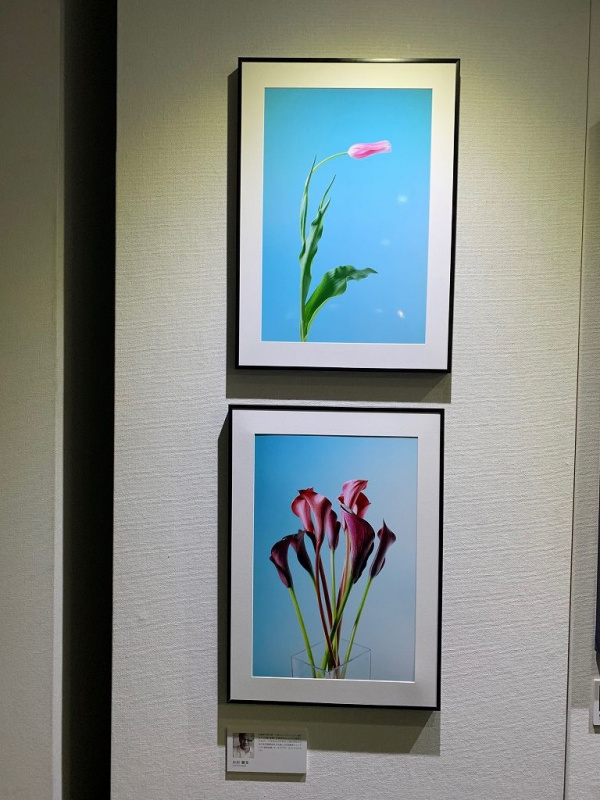 「深化する第一線で活躍するジドウシャカメラマンたち～「第5回　花の写真FBグループ展」」の5枚目の画像
