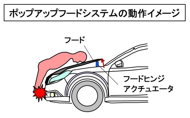 「【自動車用語辞典：衝突安全「歩行者保護エアバッグ」】衝突してエンジンフードに乗り上げた歩行者の頭部を保護する技術」の2枚目の画像