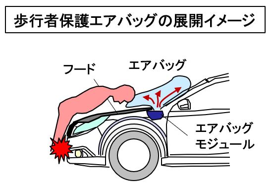 「【自動車用語辞典：衝突安全「歩行者保護エアバッグ」】衝突してエンジンフードに乗り上げた歩行者の頭部を保護する技術」の3枚目の画像