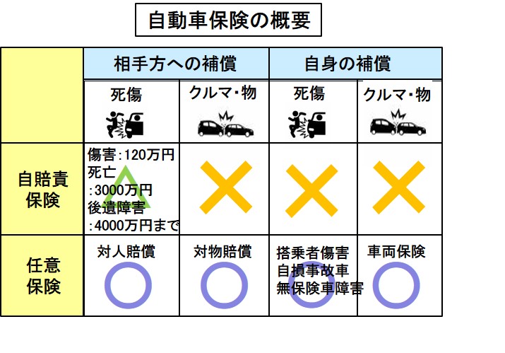 「【自動車用語辞典：維持費「クルマの保険」】加入が義務の自賠責保険、多様な補償の任意保険に大別できる」の2枚目の画像