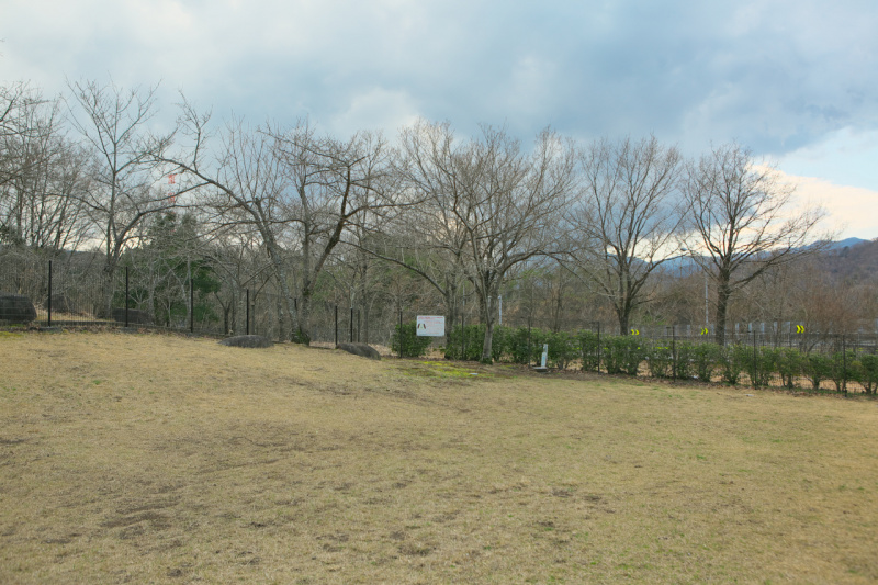 「【高速サービスエリア ドッグラン 関東】東名・鮎沢SA（上り）は東京に最も近くて天然芝でのんびりと自然を満喫できる穴場スポット」の8枚目の画像
