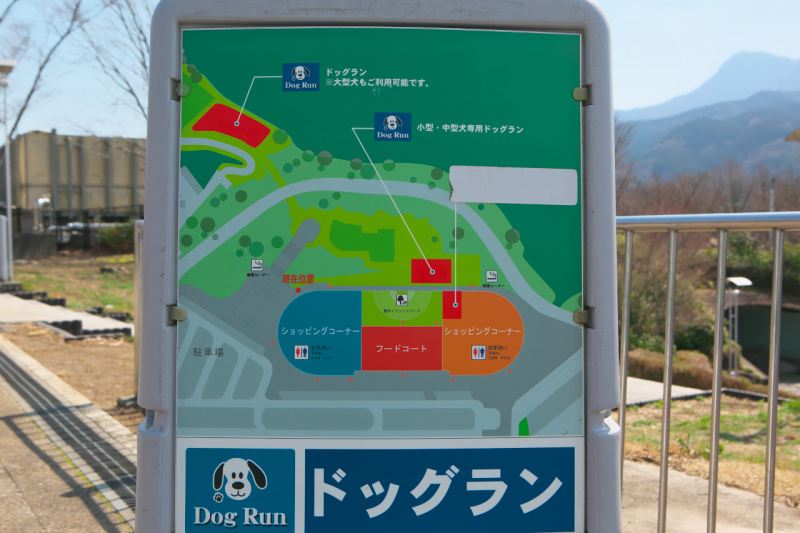 「【高速サービスエリア ドッグラン 関東】東名・EXPASA足柄（下り）は大小2カ所のドッグランがあるワンちゃんのレジャーパーク」の3枚目の画像
