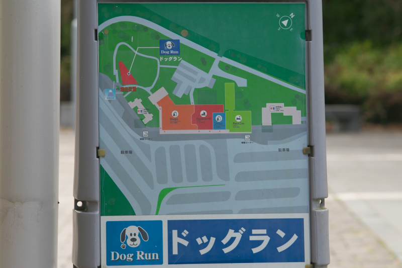 「【高速サービスエリア ドッグラン 関東】東名・EXPASA足柄（上り）は条件が揃えばワンちゃんと一緒に富士山とスリーショットが撮れる」の3枚目の画像