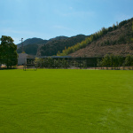 「【高速サービスエリア ドッグラン 東海】新東名・NEOPASA静岡（下り）は人工芝に張り替えられ3月にリニューアルオープンしたばかりでフカフカ」の8枚目の画像ギャラリーへのリンク