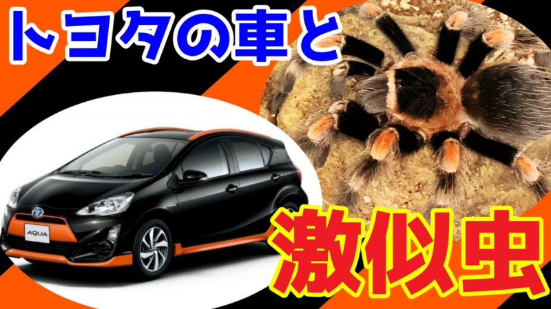 「あっ、このトヨタ車は●●虫！リアルに500匹の昆虫と暮らすYouTuberが昆虫に似ているクルマをご紹介！【動画】」の1枚目の画像