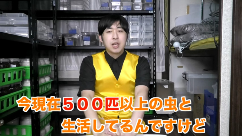 「あっ、このトヨタ車は●●虫！リアルに500匹の昆虫と暮らすYouTuberが昆虫に似ているクルマをご紹介！【動画】」の15枚目の画像