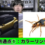 「あっ、このトヨタ車は●●虫！リアルに500匹の昆虫と暮らすYouTuberが昆虫に似ているクルマをご紹介！【動画】」の12枚目の画像ギャラリーへのリンク