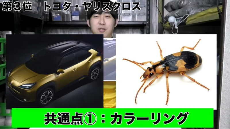 「あっ、このトヨタ車は●●虫！リアルに500匹の昆虫と暮らすYouTuberが昆虫に似ているクルマをご紹介！【動画】」の12枚目の画像