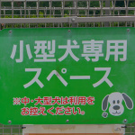 【高速サービスエリア ドッグラン 東海】新東名・NEOPASA浜松（上り）はドッグラン横にコーヒーショップを併設し、ワンちゃんだけでなく人もリフレッシュ - sa_dogrun_08