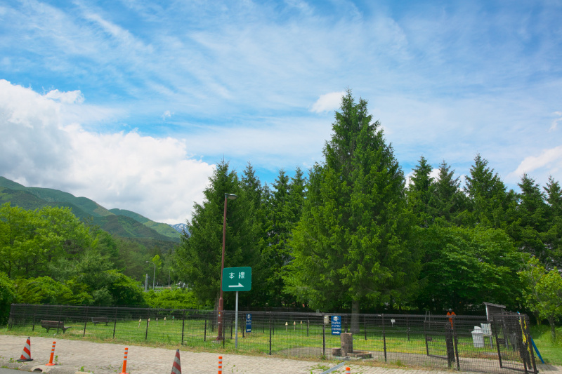 「【高速サービスエリア ドッグラン 甲信】中央道・駒ヶ岳SA（下り）の天然芝による緑の絨毯にワンちゃんも大歓び！」の4枚目の画像