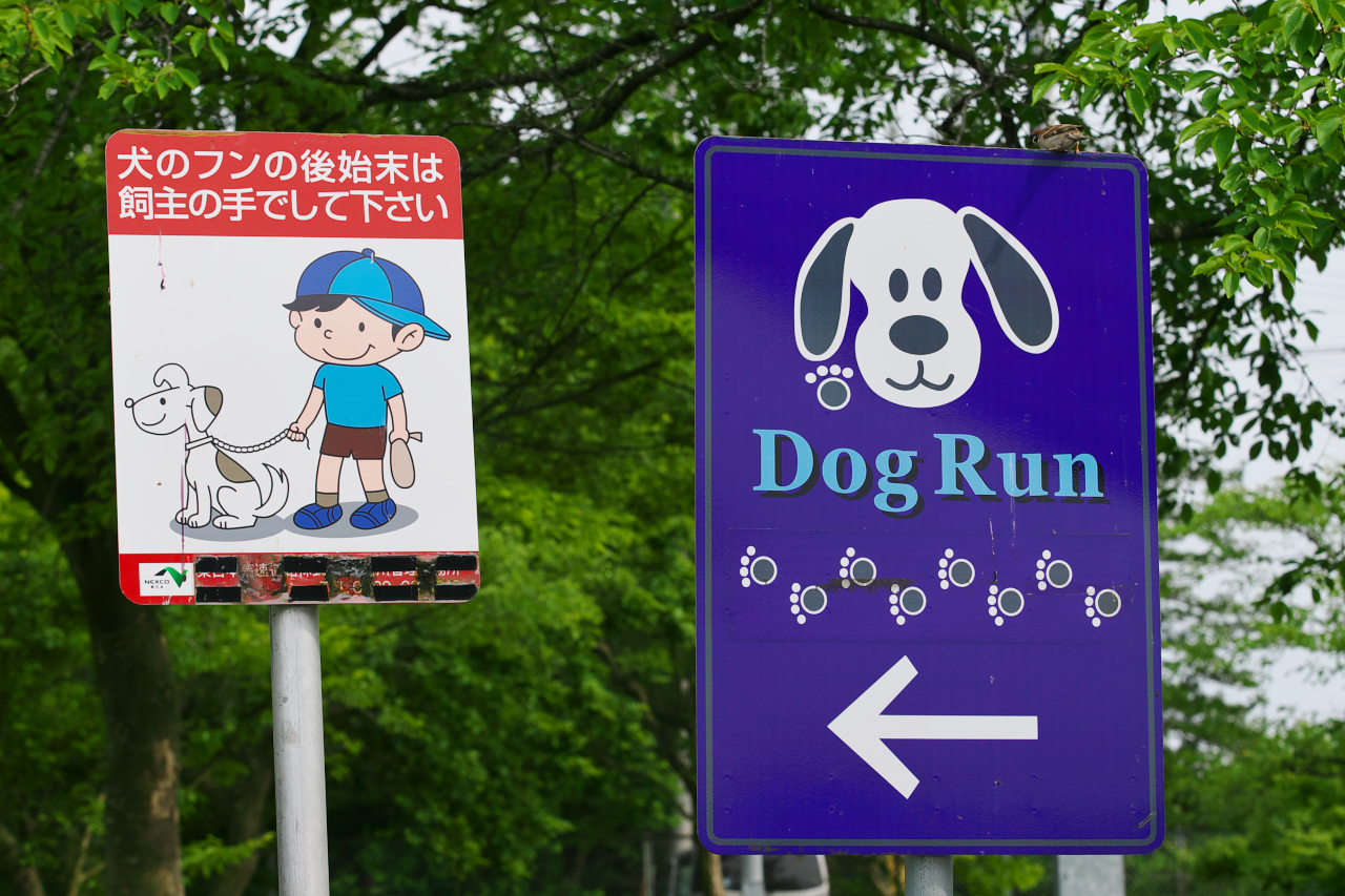 Sa Dogrun 014 画像 東北自動車道 長者原sa 上り の施設は本州で最も北に位置するワンちゃんのパラダイス 高速道路sa Paドッグラン探訪 Clicccar Com