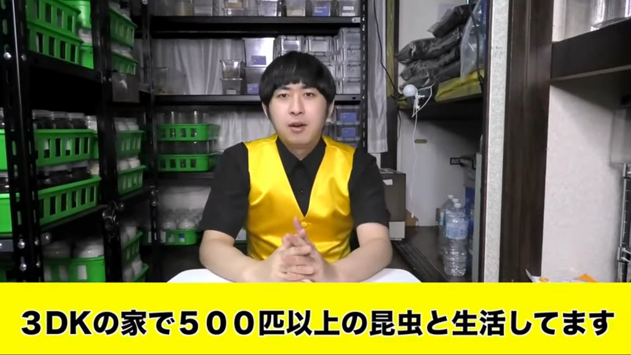 500匹以上の昆虫と暮らす男が選ぶ！カラーリングが昆虫に似ている 