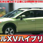 「500匹以上の昆虫と暮らす男が選ぶ！カラーリングが昆虫に似ているクルマランキング！【動画】」の10枚目の画像ギャラリーへのリンク