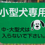 【高速サービスエリア ドッグラン 関東】常磐道・PASAR守谷（上り）は東京からわずか20kmで常磐道上り線唯一のワンちゃんのリラックススポット - sa_dogrun_007