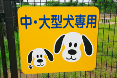 常磐自動車道 Pasar守谷 上り は東京からわずか20kmで常磐道上り線唯一のワンちゃんのリラックススポット 高速道路sa Paドッグラン探訪 Clicccar Com