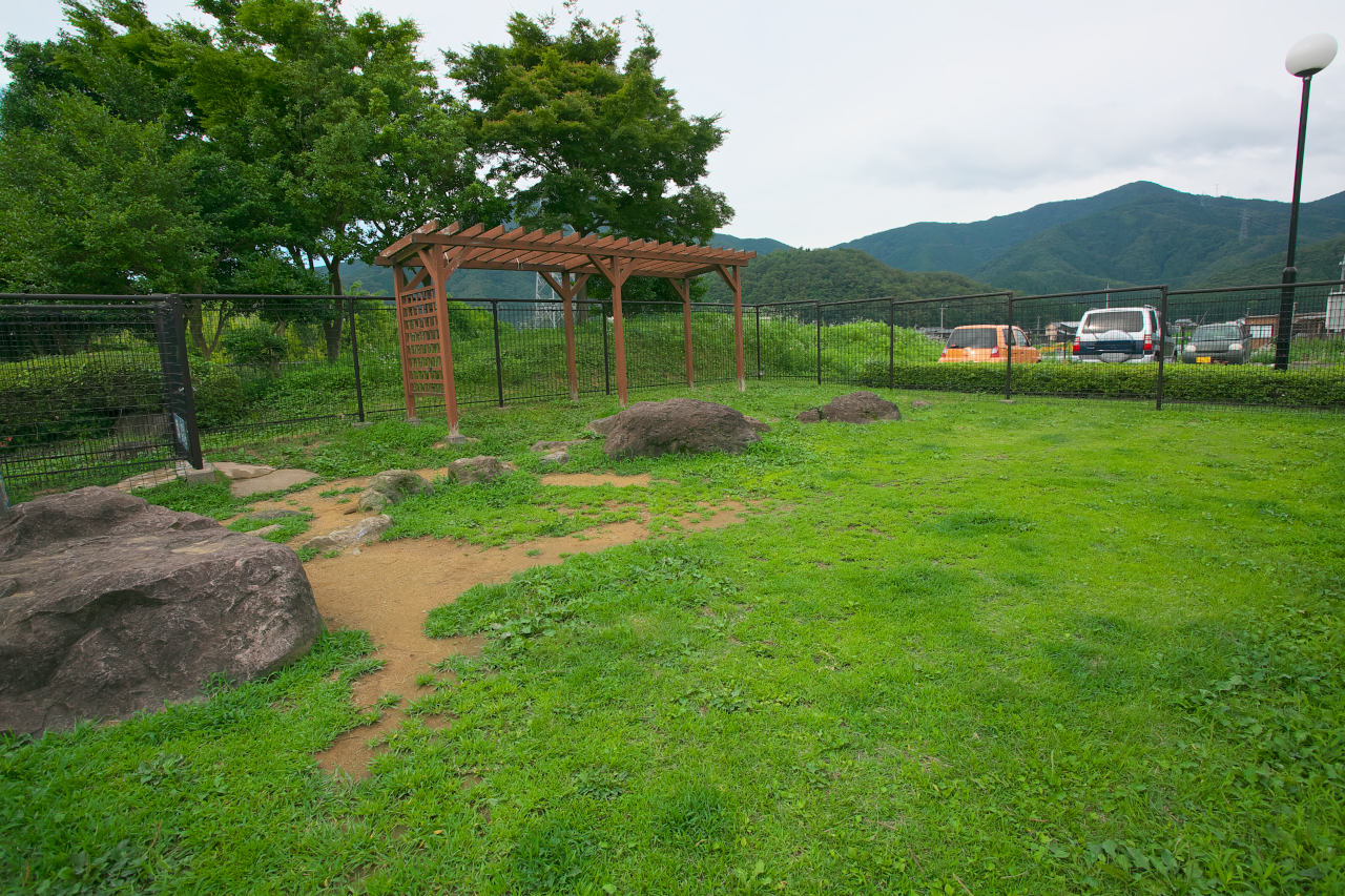 「北陸自動車道・南条SA（上り）は日本庭園のような風情漂う施設が特徴【高速道路SA・PAドッグラン探訪】」の7枚目の画像
