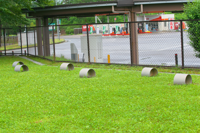 「【高速サービスエリア ドッグラン 北陸】北陸道・米山SA（上り）は足元に優しい天然芝が広がる新潟県唯一の施設」の10枚目の画像