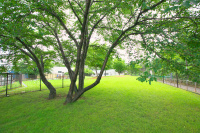 「【高速サービスエリア ドッグラン 北陸】北陸道・米山SA（上り）は足元に優しい天然芝が広がる新潟県唯一の施設」の14枚目の画像ギャラリーへのリンク