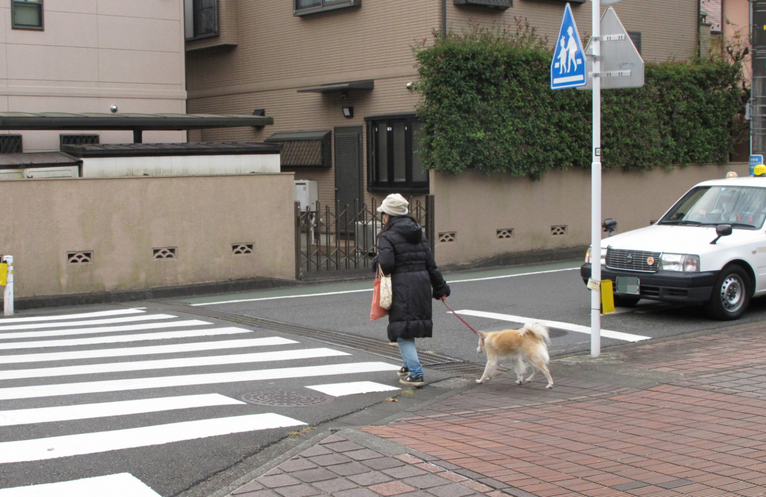 横断 歩道 自転車 優先