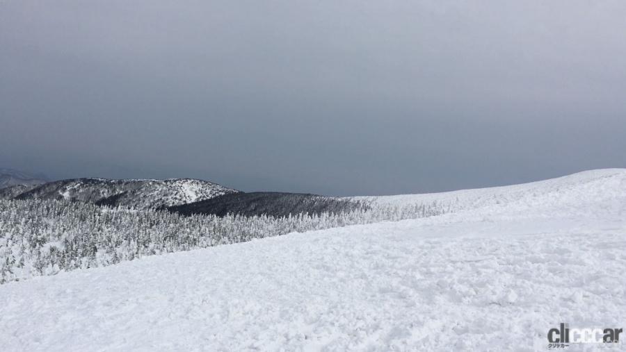 降雪が少なくても突然遭遇する ホワイトアウト ドライバーがとれる最善の行動とは Clicccar Com