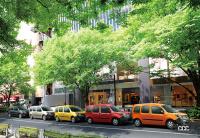 専用ボディカラーを含むカラフルなボディカラーが魅力の限定車「ルノー カングー パナシェ」が発売 - Omotesando street, Shibuya Ward, Tokyo Prefecture, Japan