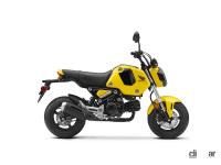ホンダの原二スポーツ「グロム」が新エンジンになって、さらに5速を獲得した - 2022 Honda Grom Queen Bee Yellow RHP