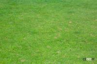 「【高速サービスエリア ドッグラン 山陽】中国道・勝央SA（上り）は人工芝と見間違えるほど手入れの行き届いた緑の絨毯は圧巻！」の9枚目の画像ギャラリーへのリンク
