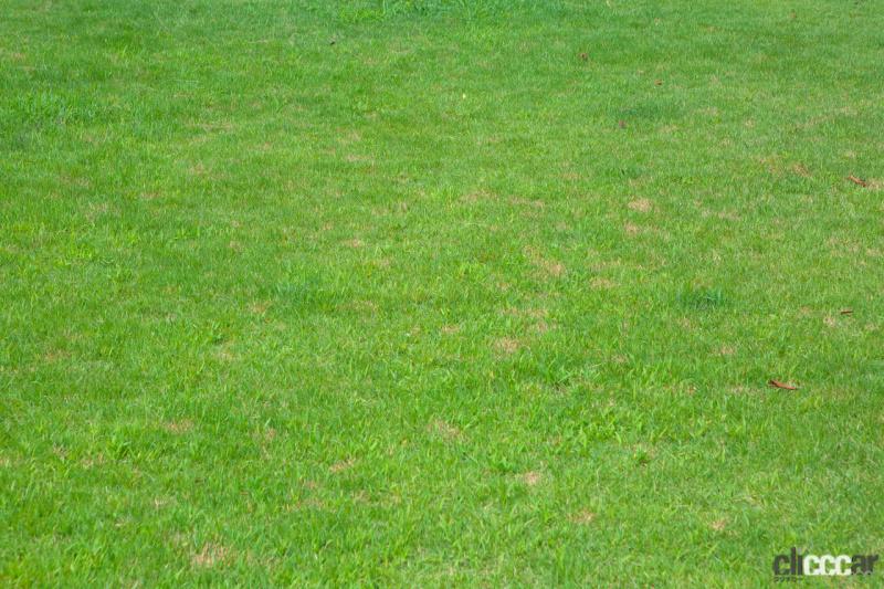 「【高速サービスエリア ドッグラン 山陽】中国道・勝央SA（上り）は人工芝と見間違えるほど手入れの行き届いた緑の絨毯は圧巻！」の9枚目の画像