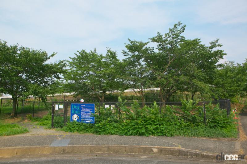 「【高速サービスエリア ドッグラン 近畿】阪和道・岸和田SA（上り）のドッグランは傾斜や木の根っこなど自然のアジリティが満点」の3枚目の画像