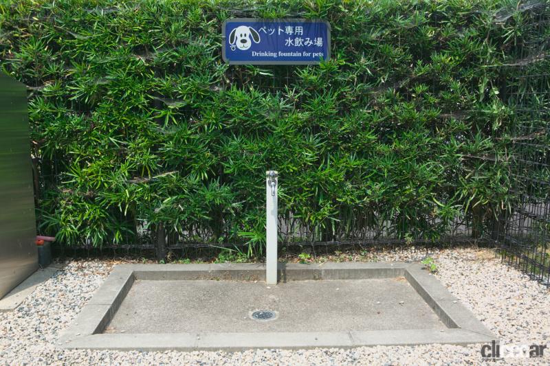 「【高速サービスエリア ドッグラン 近畿】名神道・菩提寺PA（下り）は非常に手入れが行き届いた天然芝の絨毯が魅力」の6枚目の画像