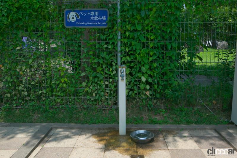 「【高速サービスエリア ドッグラン 近畿】舞鶴若狭道・西紀SA（下り）は施設のサイズはコンパクトだけど、緑あふれる空間でリフレッシュできる」の7枚目の画像