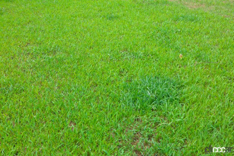 「【高速サービスエリア ドッグラン 近畿】名神道・菩提寺PA（下り）は非常に手入れが行き届いた天然芝の絨毯が魅力」の8枚目の画像