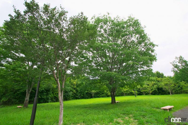 「【高速サービスエリア ドッグラン 東海】東海北陸道・長良川SA（下り）はドッグランの周りにも緑の芝生が広がる公園のような空間」の14枚目の画像