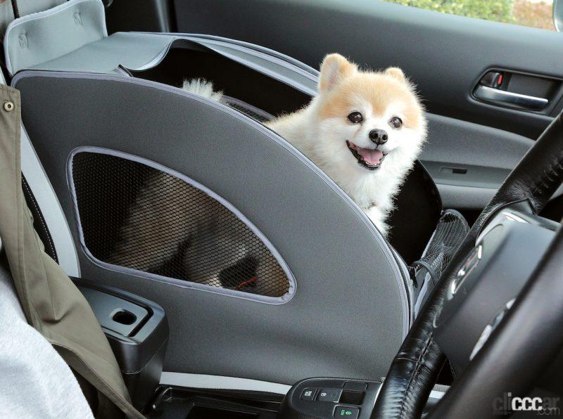 「愛犬とのドライブがより快適に楽しくなる「Honda純正愛犬用カーアクセサリー」がリニューアル」の1枚目の画像