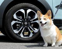 愛犬とのドライブがより快適に楽しくなる「Honda純正愛犬用カーアクセサリー」がリニューアル - HONDA_Accessory_dog_20210813_9