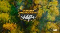 「スバル「ウィルダネス」第2弾。フォレスター・ウィルダネスは9月2日デビュー確定【動画】」の6枚目の画像ギャラリーへのリンク
